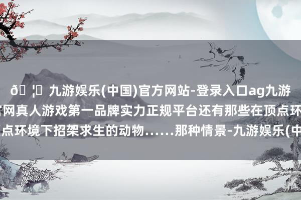 🦄九游娱乐(中国)官方网站-登录入口ag九游会官方⚽ag九游会官网真人游戏第一品牌实力正规平台还有那些在顶点环境下招架求生的动物……那种情景-九游娱乐(中国)官方网站-登录入口