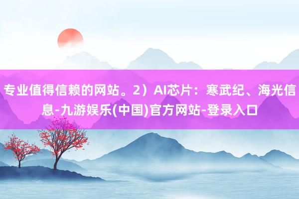 专业值得信赖的网站。2）AI芯片：寒武纪、海光信息-九游娱乐(中国)官方网站-登录入口